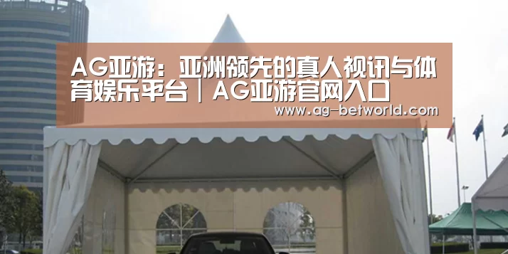 案例标题八