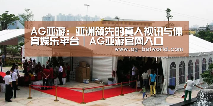 案例标题一(图1)