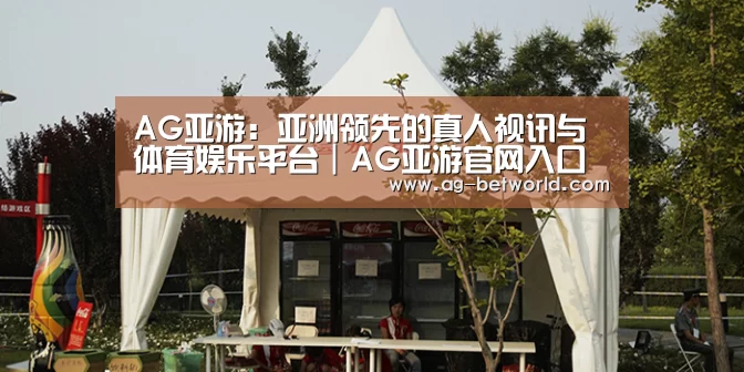 案例标题五