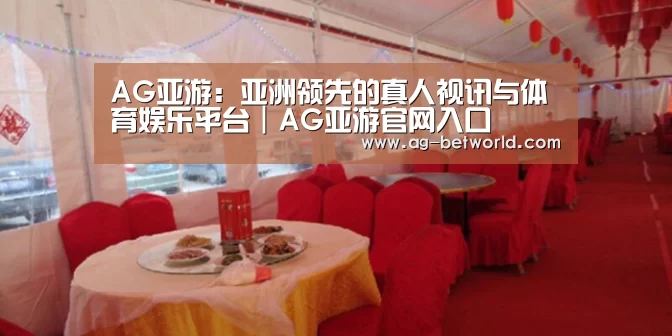 案例标题二