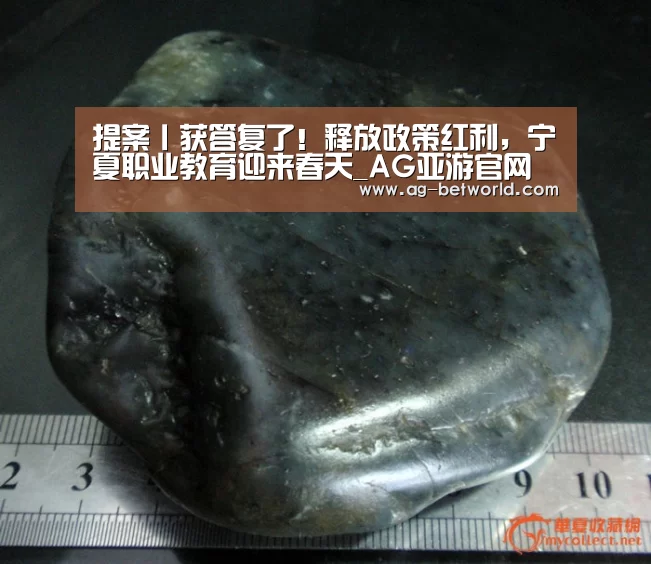 提案丨获答复了!释放政策红利,宁夏职业教育迎来春天_AG亚游官网入口(图3) AG亚游官网