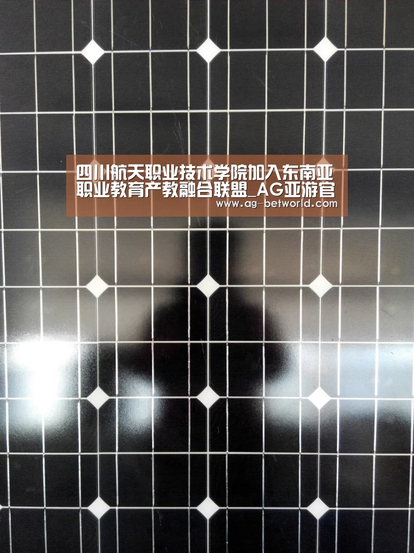 四川航天职业技术学院加入东南亚职业教育产教融合联盟_AG亚游官网入口(图1) AG亚游